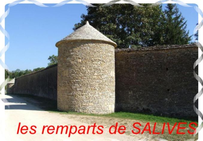 Le Puits Fortifié Salives Exterior foto